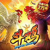 斗鸡 斗鸡