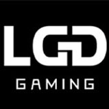 LDG电子 LDG电子